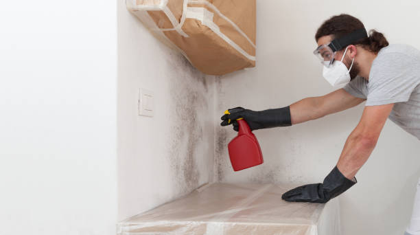 Attic Mold Remediation treatment on roof deck in Rogers